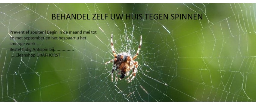 Behandel uw huis tijdig tegen spinnen